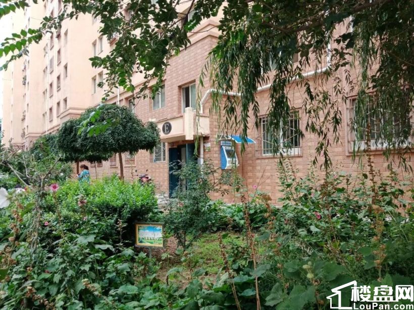 龚家湾 建兰丽苑 电梯房 南北通透 产权 两室一