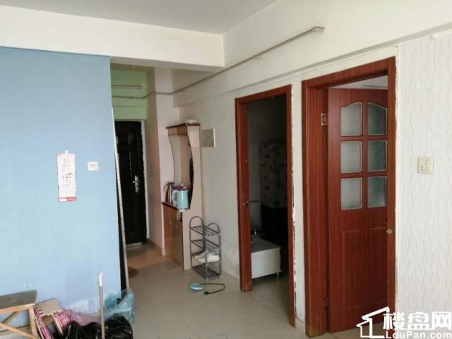 金牛街 康桥国际89平米小户型三室两厅 电梯房