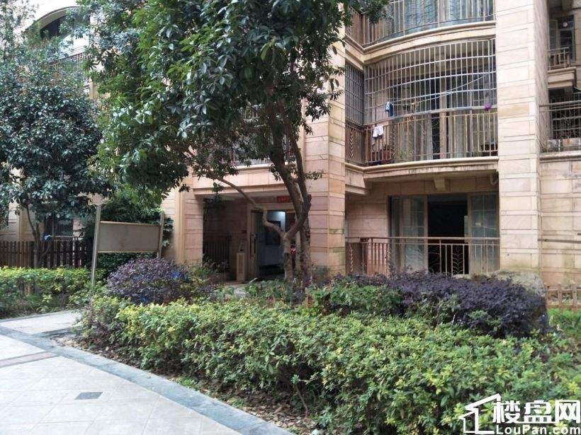 时代倾城旁好房出售 长沙玫瑰园