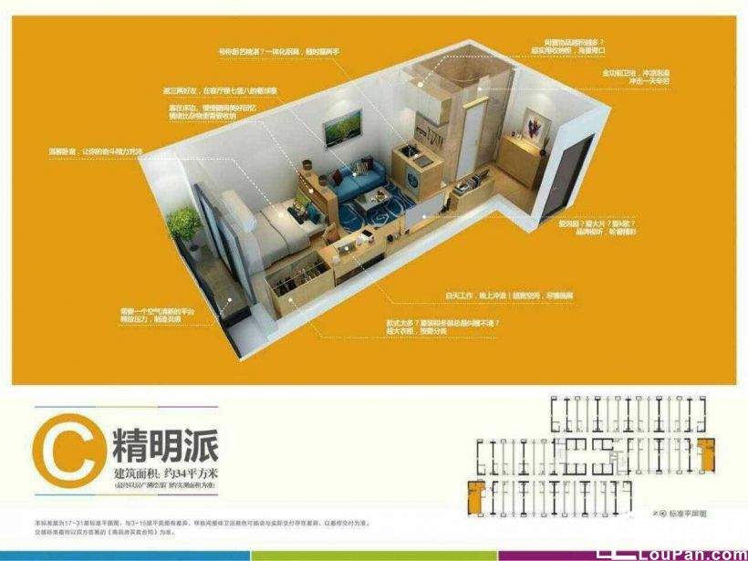 万科金色领域 单身公寓 精装修 低价急售