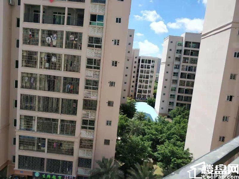桐洋新城 三房两厅核心地段小区 南北通透