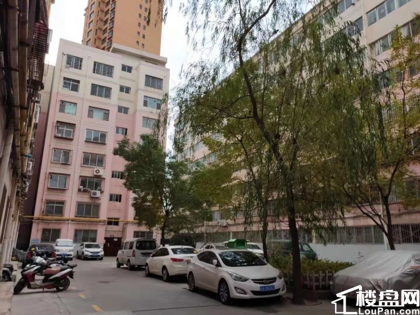 南滨河路 丽景苑 一室一厅 楼层适中 通透户型 装修保持好!