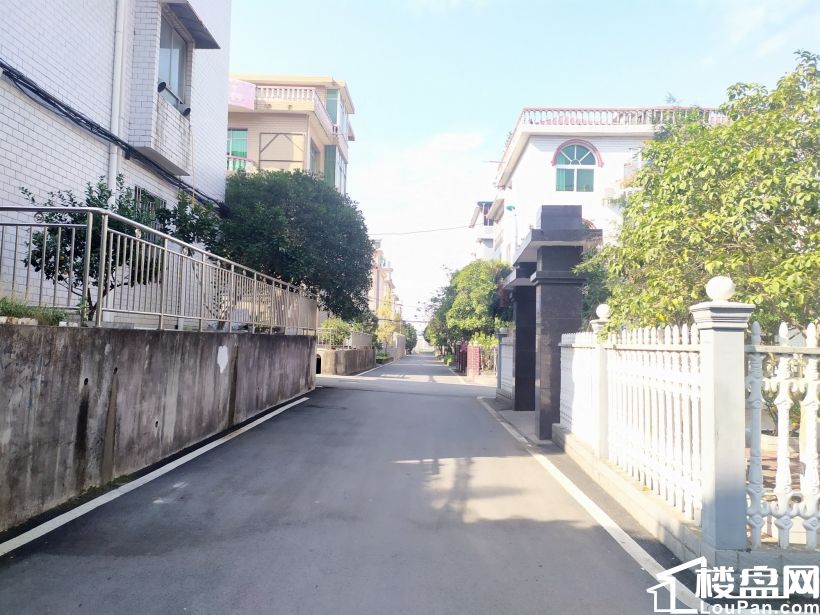 安源新区燎原小区壕独栋别墅四面花园地下室