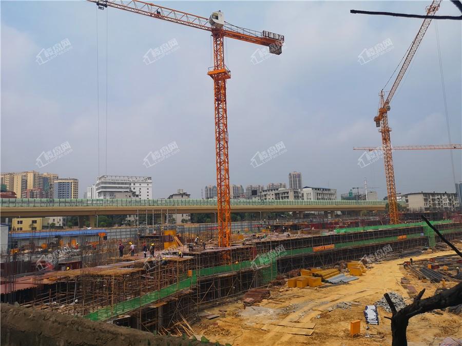 洋浦星图片_户型图_样板间图_装修效果图-南宁楼盘网