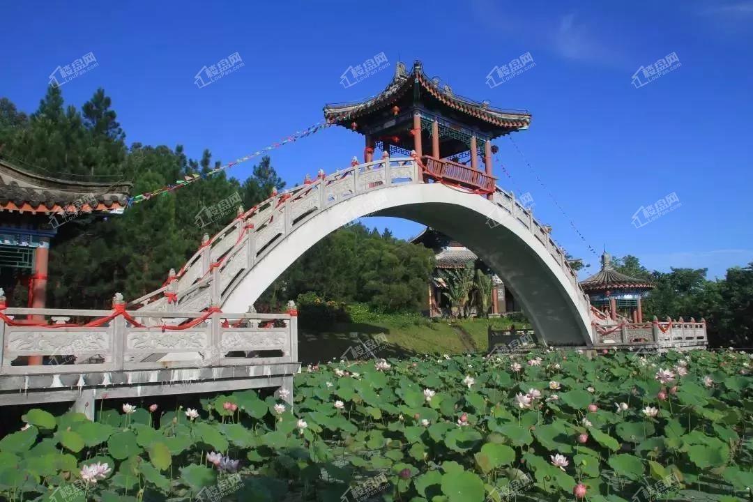 郴州大漢10 郴州大漢10