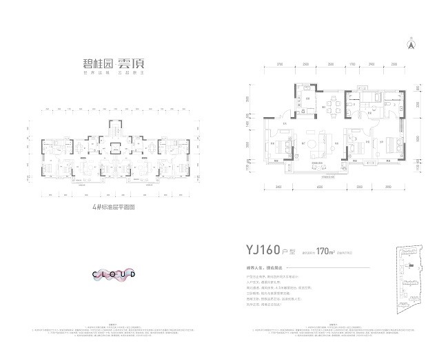 运城碧桂园云顶户型图