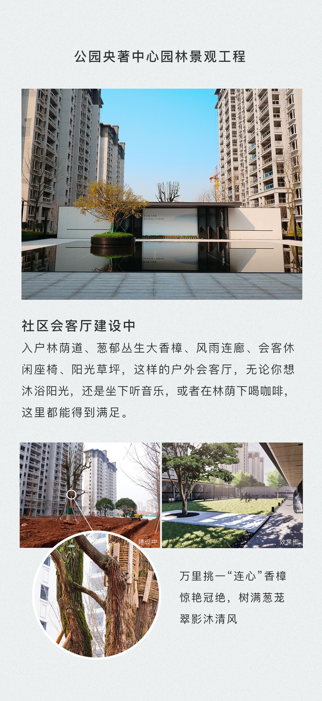公园央著2月工程进度播报-怀化楼盘网