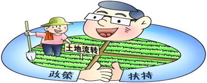 吉林农村土地流转补贴标准是什么