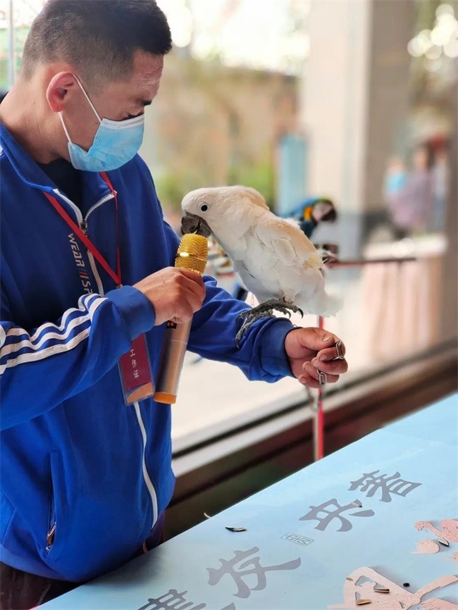 数十种可爱而珍贵的鹦鹉汇聚一园……活泼,好奇,亲人的小太阳鹦鹉以