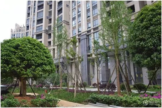 湘潭骏景豪廷房价多少?质量怎么样?