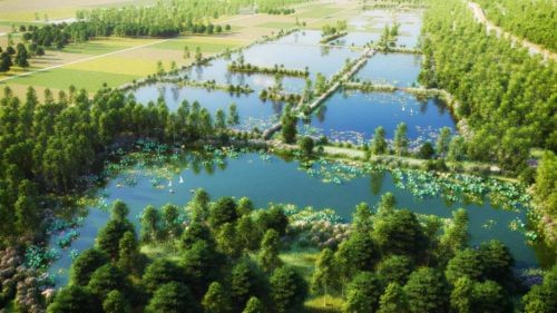 修复滨江生态,改善滨江环境,全力打造具有长江流域湿地特色的滩涂