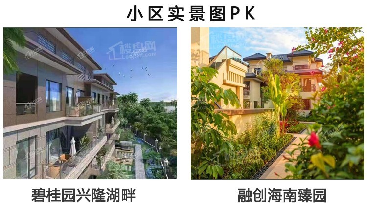 海南碧桂园兴隆湖畔vs融创海南臻园,万宁楼盘pk