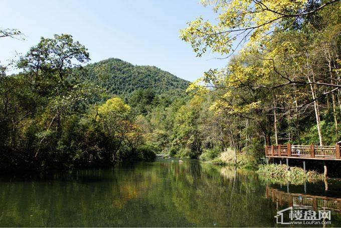 小车河公园美丽风光_花果园效果图_实景图_样