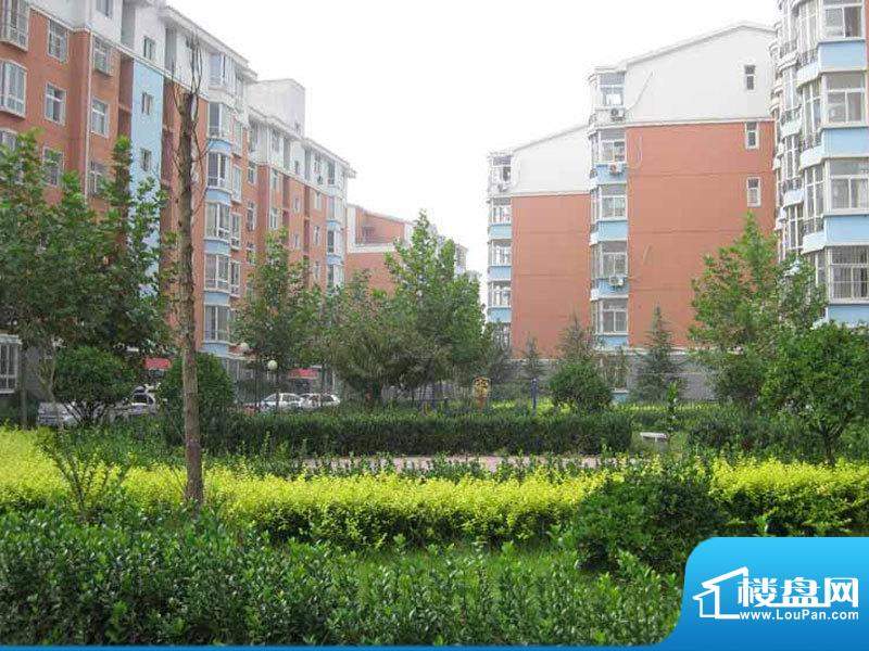 图解,文森特直播的桌面,文具店图片大全,央视记