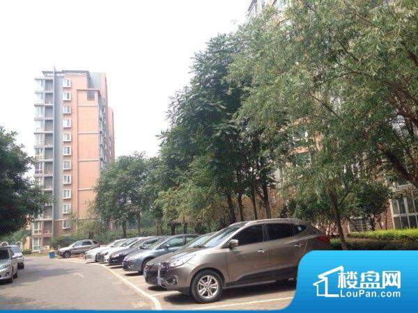 加州小镇b区