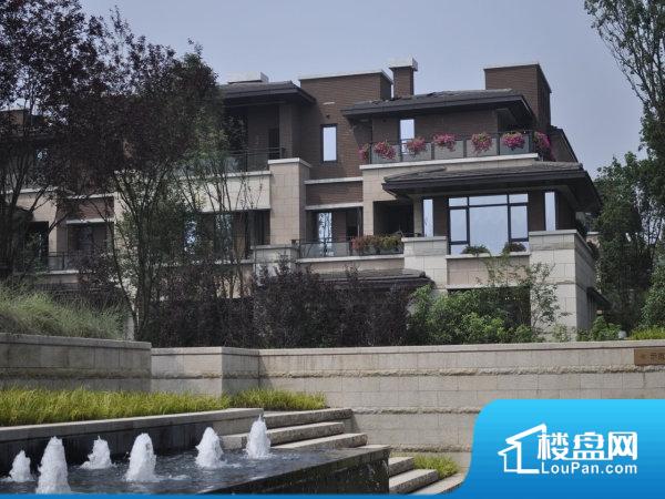 重庆万科颐府地址天下,户型图,价格走势楼盘君临花园别墅成都图片