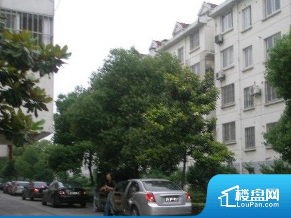 昆山小区 全部 杉欣花园 杉欣花园实景图 杉欣花园实景图 杉欣花园