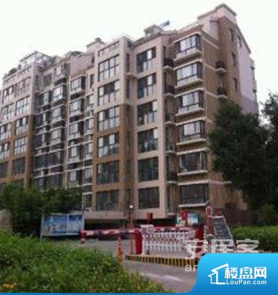 金叶苑图片