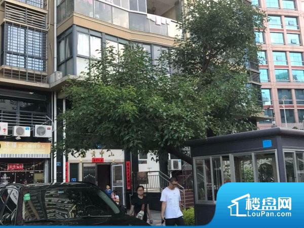 厦门领秀中山房价_二手房_租房-厦门楼盘网