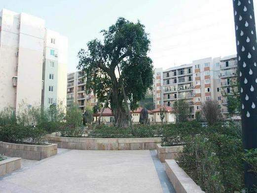 永川区楼盘_永川区新楼盘_永川区新房_永川区