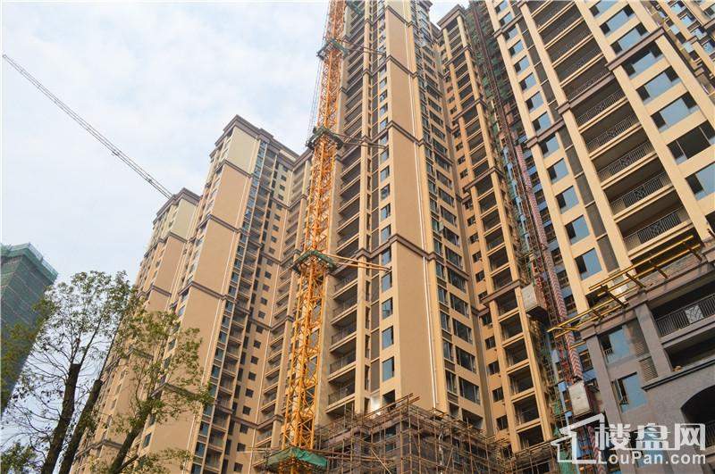 郴州奥园华府效果图_实景图_样板间-郴州楼盘网