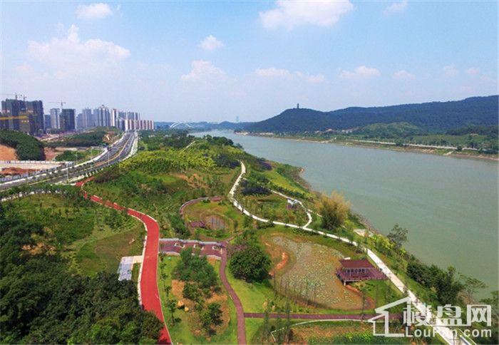 城市绿肺不断增容 五象新区盛科城再创佳绩