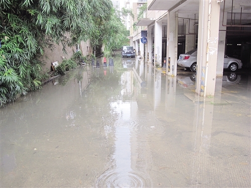 一下雨小区就内涝 两年多问题终解决