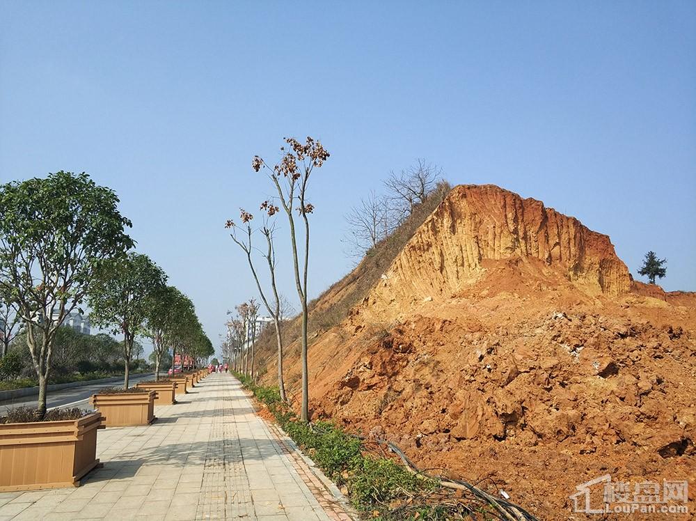 怀化岳麓青城相册_实景图-怀化楼盘网