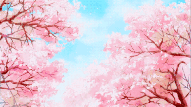 看樱花何须去日本?澄江这儿樱花怒放!还有满园春色.