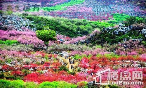桂林春景(桂林楼盘网)