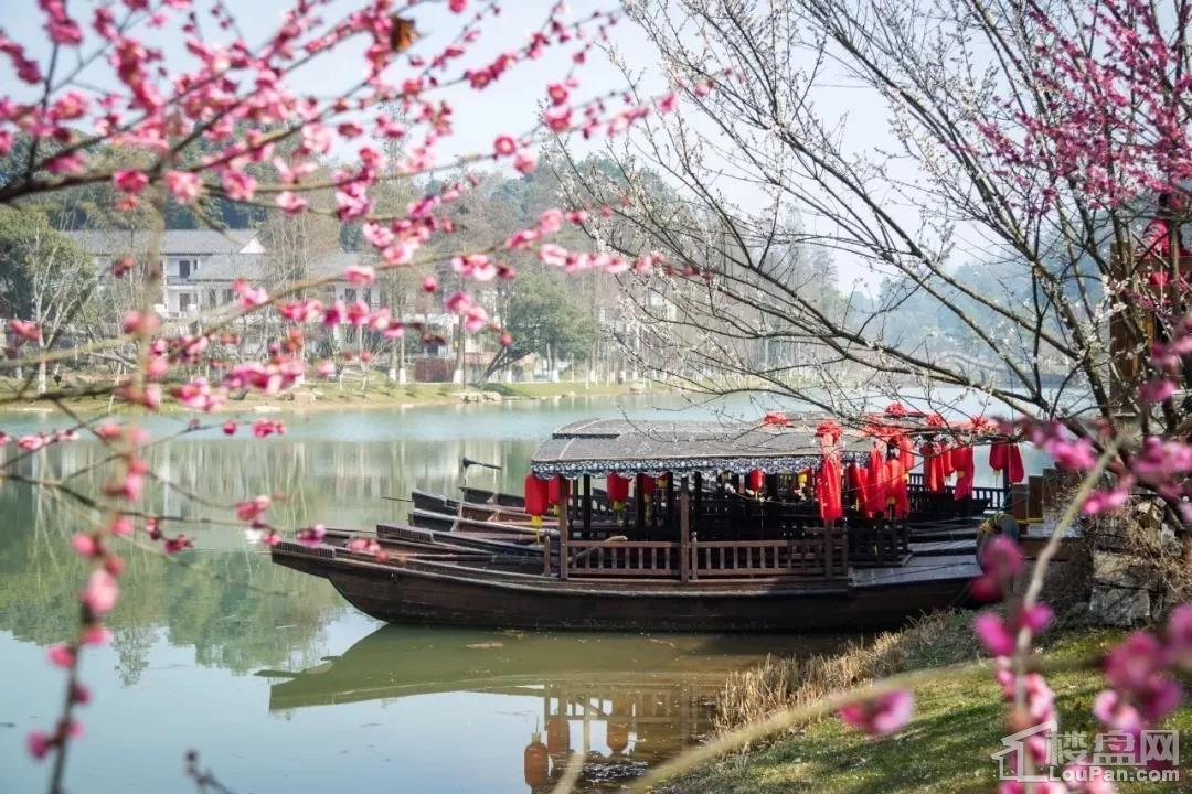 2018中国桃花源·桃花节，快来邂逅中国最美春天!