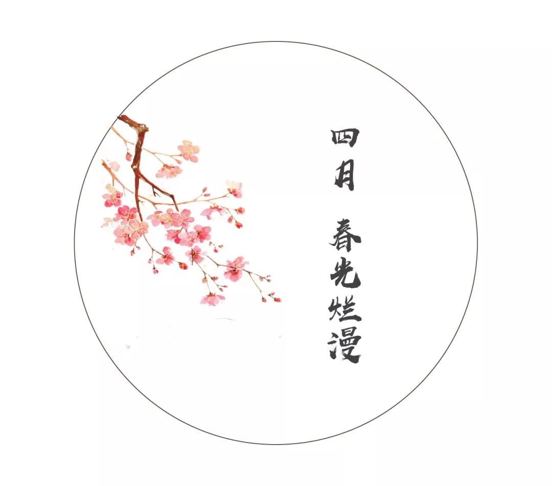 三月再见,四月你好!不负春光不负卿!