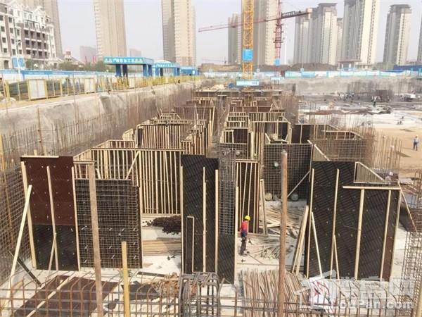 [西溪花园]工程播报 | 樱花落满襟,渐入家境