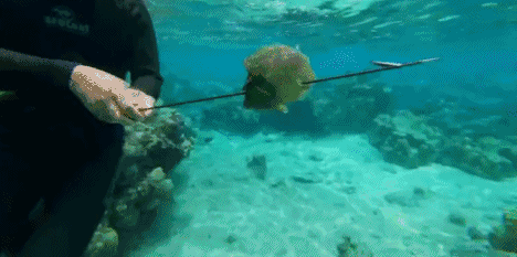 468_233gif 动态图 动图