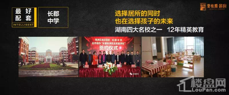 【碧桂园·麓府】以博士的眼光 看世界化的人