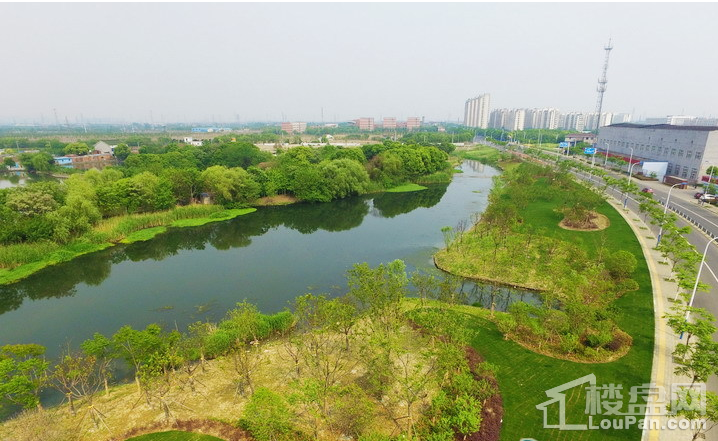 常丰河河道绿化工程