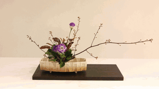 盆景 盆栽 植物 640_360 gif 动态图 动图