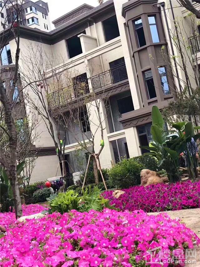 玫瑰庄园丨公园级私属花园 你想要的都在这里-汉中楼盘网