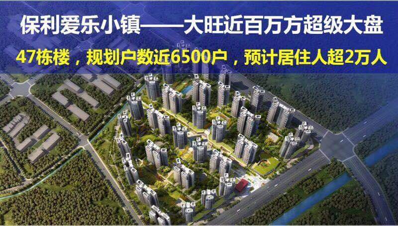 保利爱乐小镇9500元/㎡肇庆