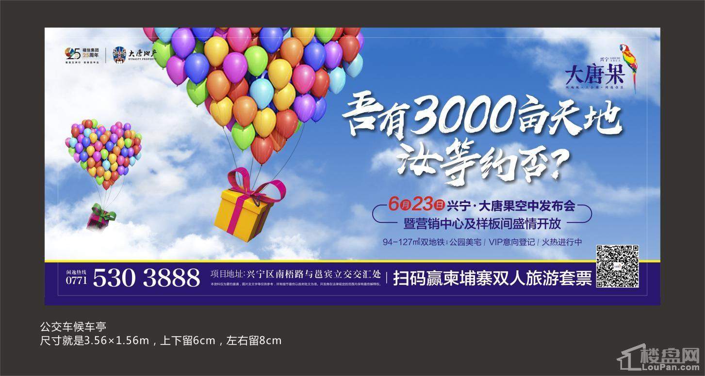 闲逸臻品 兴宁大唐果空中发布会明日登场