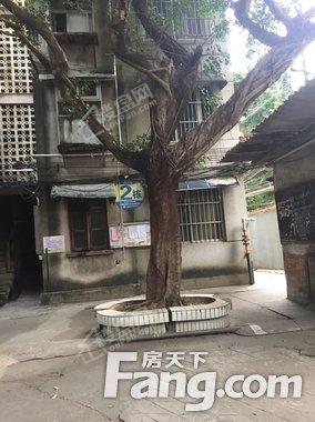 百会药业第一生活区