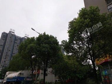 /cimg/images/img11/2018_09/8c5baab4c983b4db504e168cee9443ab.jpg