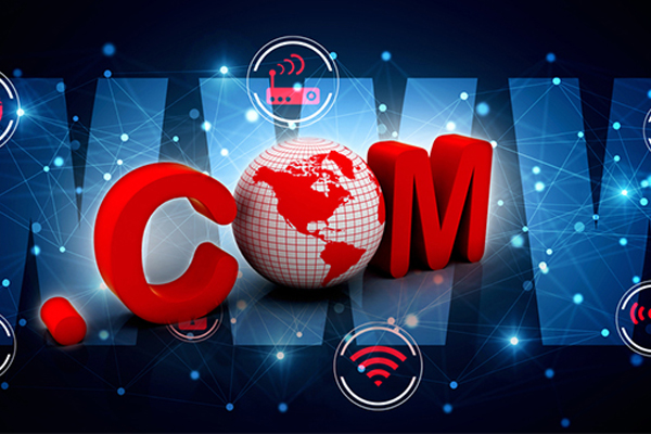 Primary domains and subdomains: brand and function extension in the digital age