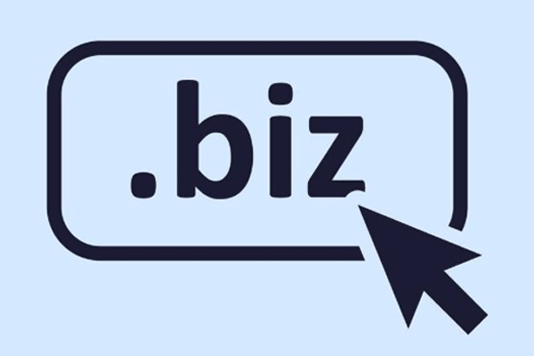 What is a .biz domain name? What are the characteristics and advantages of a .biz domain name?