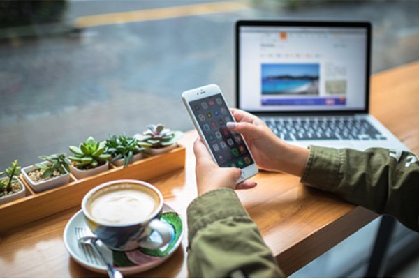 What is the competitive landscape and key players in the domain name industry?