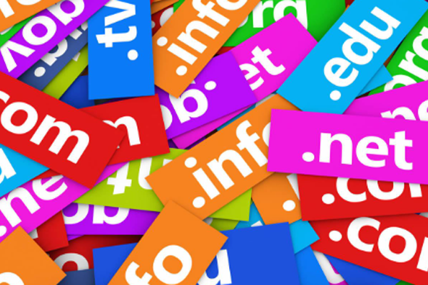 What is the difference between a URL and a domain name?