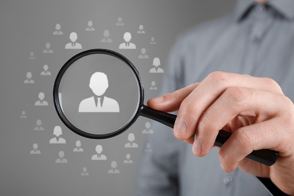 What information do I need to query for domain name registration?