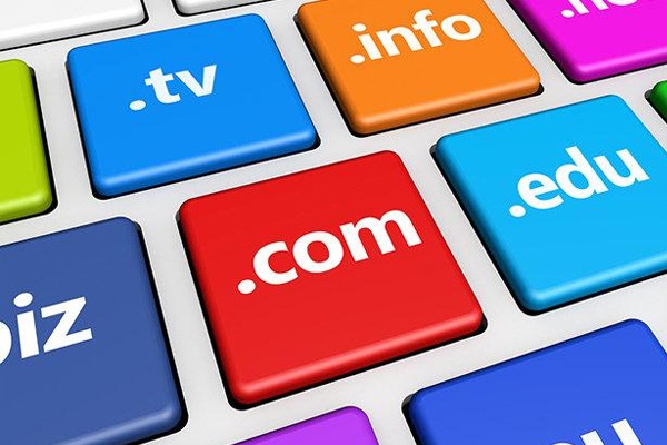 What is a dynamic domain name? What are dynamic domain names used for?