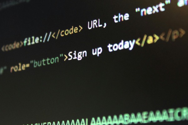 Why register a domain name? What is Domain Flood Resolution?