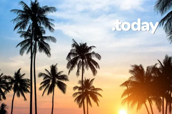 What is a .today domain? Why choose a .today domain?